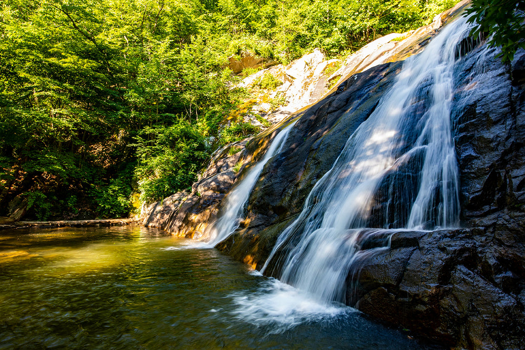 Whiteoak Canyon Trail