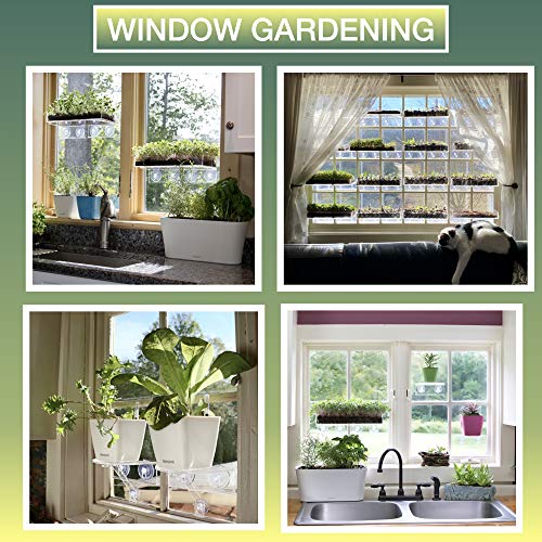 Window Garden Double Veg Ledge – Create Garden, Hold Pl - Window Garden Store