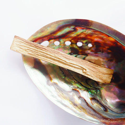 Abalone shell with unlit Peruvian Palo Santo for Smudging to Clear Energy