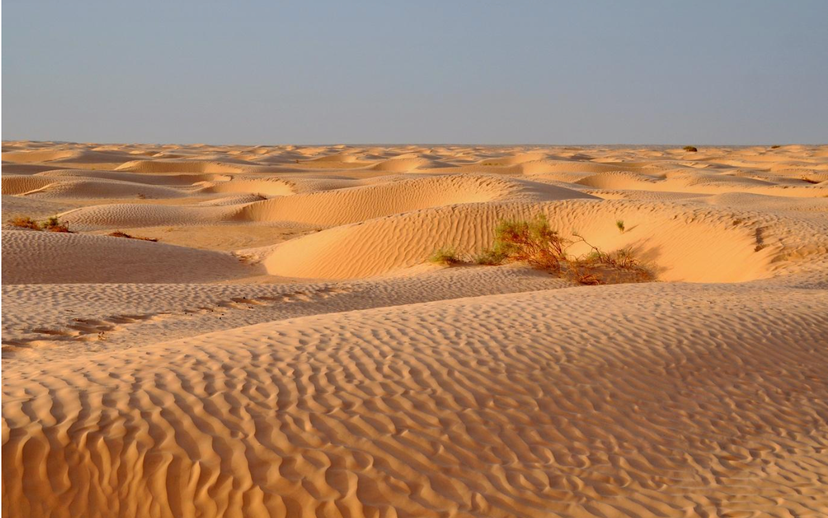 Photo of the desert in Tunisia. 