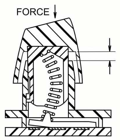 Buckle spring