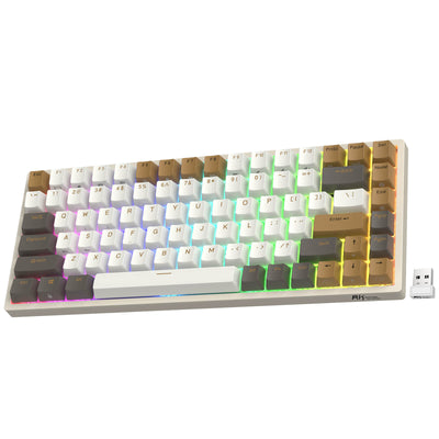 RK68 60% Wireless Mechanical Keyboard BT5.0/2.4Ghz Hot-Swappable USB A &  Type C