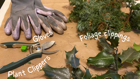 Gloves, plant clippers and plant clippings