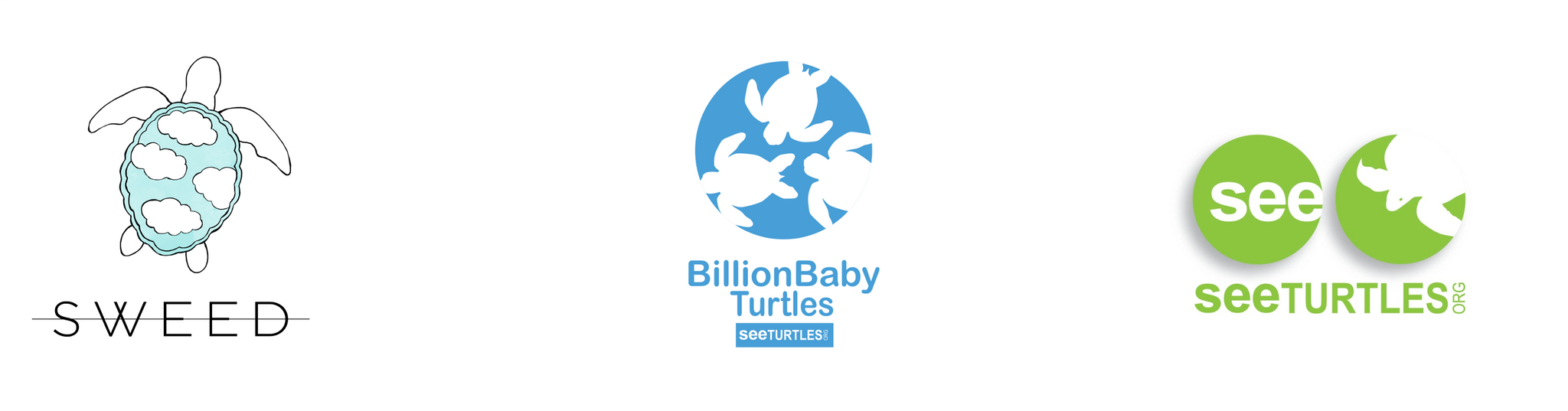 Sweed x Billion Baby Turtles – SWEED INT