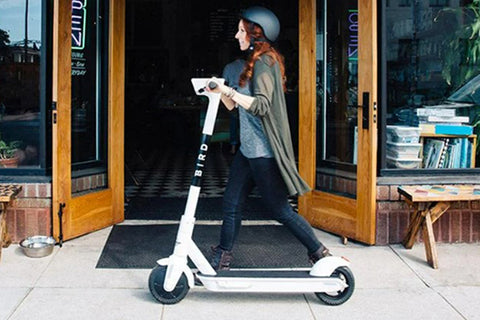 Bird One Electric Scooter