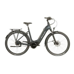 Raleigh Electric Hybrid Bike