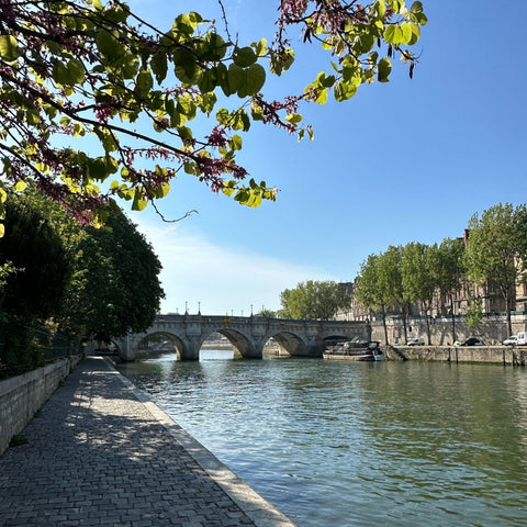 Paris tips for first timer: stroll along the Seine river