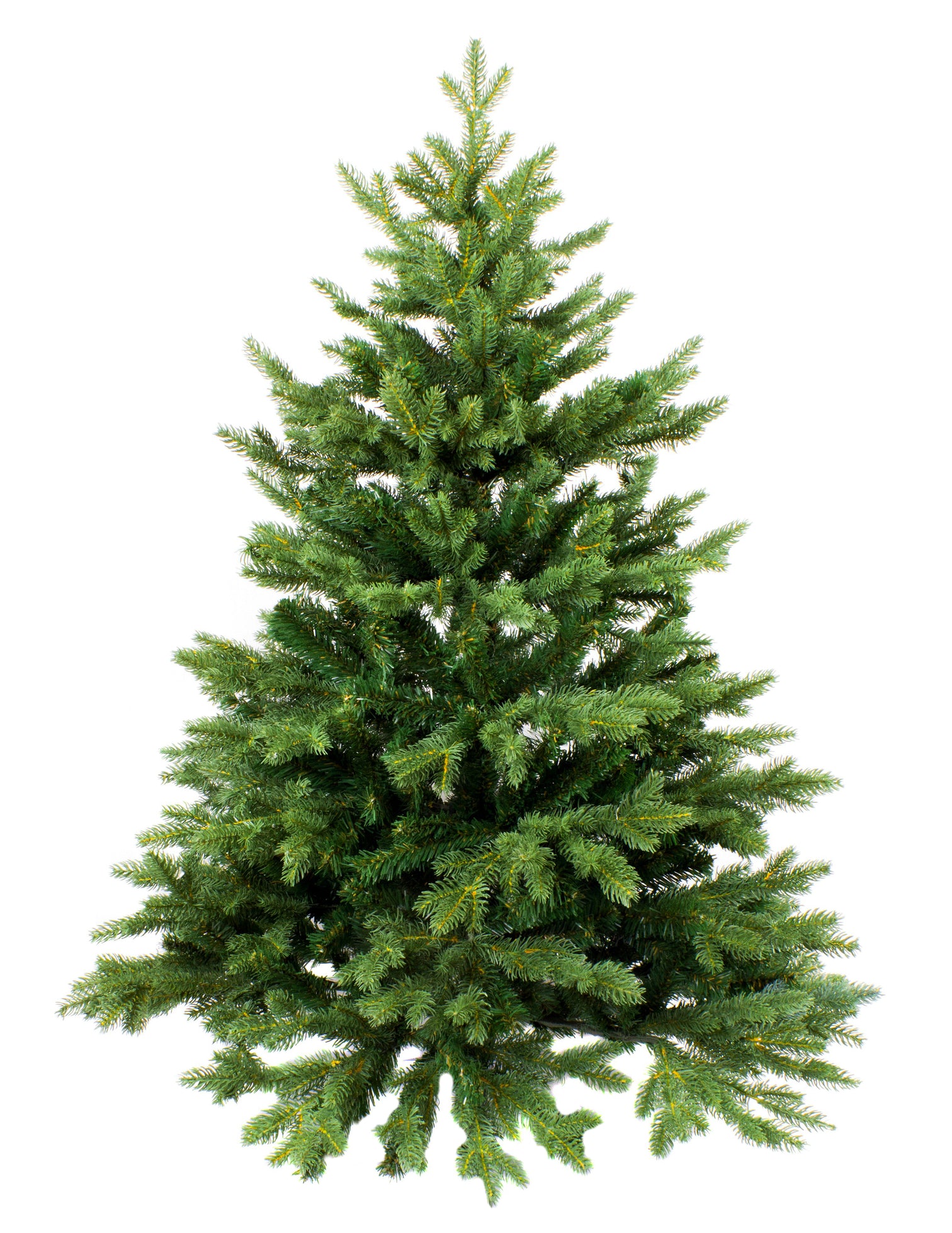 Nordmann Fir – Greenwich Christmas Trees