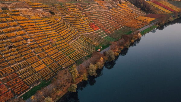 Steillagen Rheingau Weinbaugebiete Deutschland