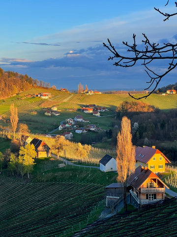 Terroir in der Südsteiermark