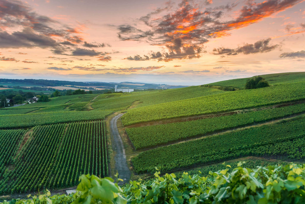 weinanbaugebiete frankreich