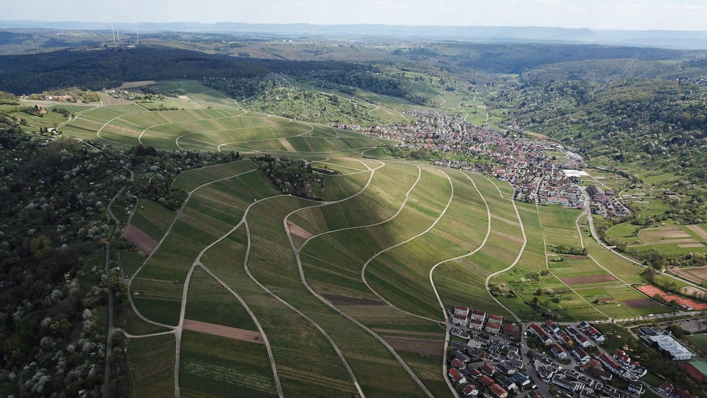 Weinbaugebiete Deutschlands