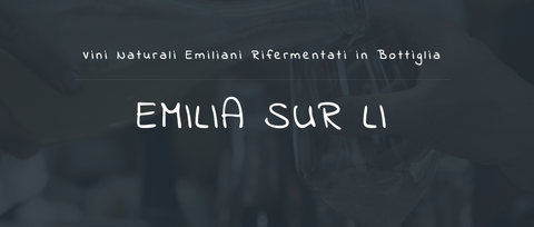 Emilia Sur li 2022 natural wine fair
