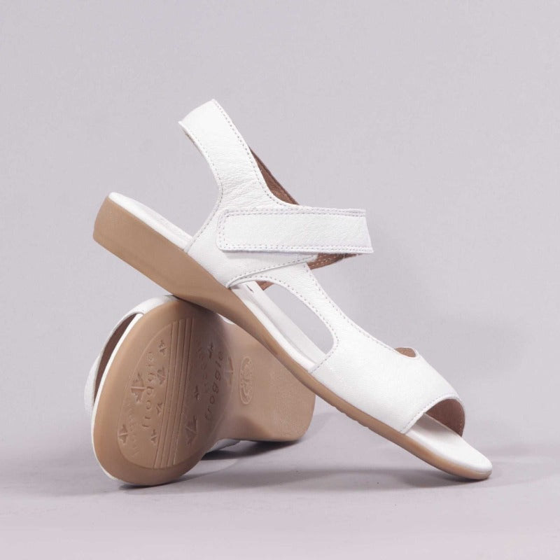 Slingback Flat Sandal in White - Froggie ZA your step, our shoes ...