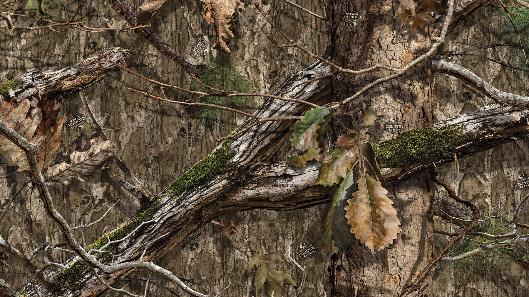 Mossy Oak Break-Up Padded Bra - The Swamp Co.