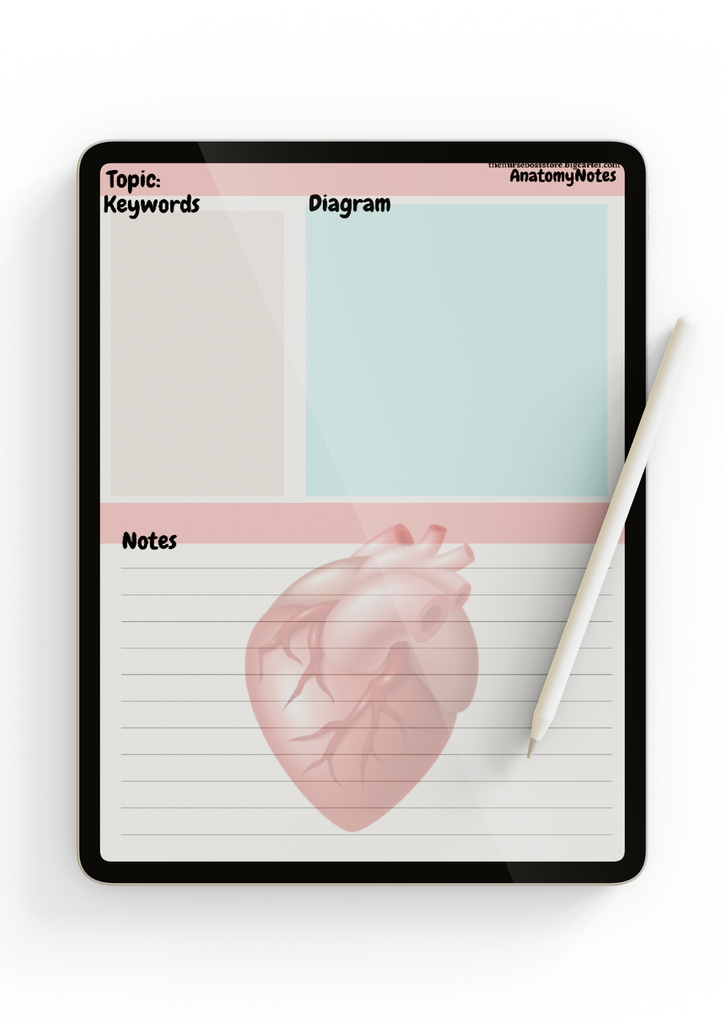 Anatomy Note Template (DIGITALPDF) nursebossstore