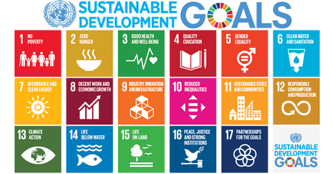 UN sustainable goals