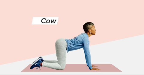 Woman on knees in cow position demonstrating yoga and spine correction and posture relief techniques