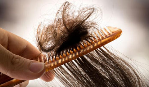 10 Raisons D'utiliser La Brosse à Cheveux Démêlante TopBrush®