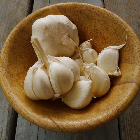 Garlic-Allicin-antioxidant-lower-cholesterol