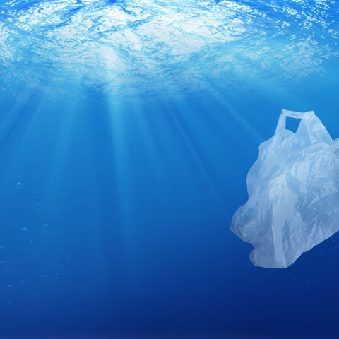 plastic-bag-ocean-recyclable-compostable-biodegradable