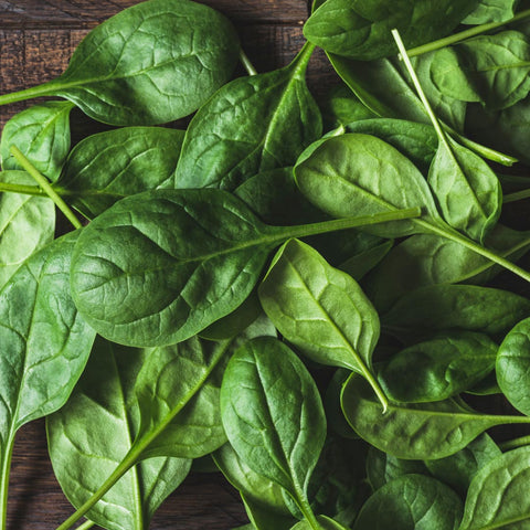 Spinach-Folic-acid-folate-vitamin-c-vitamin-a