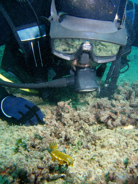 Scuba Diver with Nudibranch to show scale.