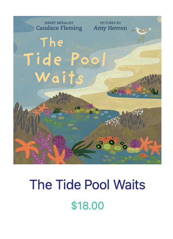 The Tide Pool Waits