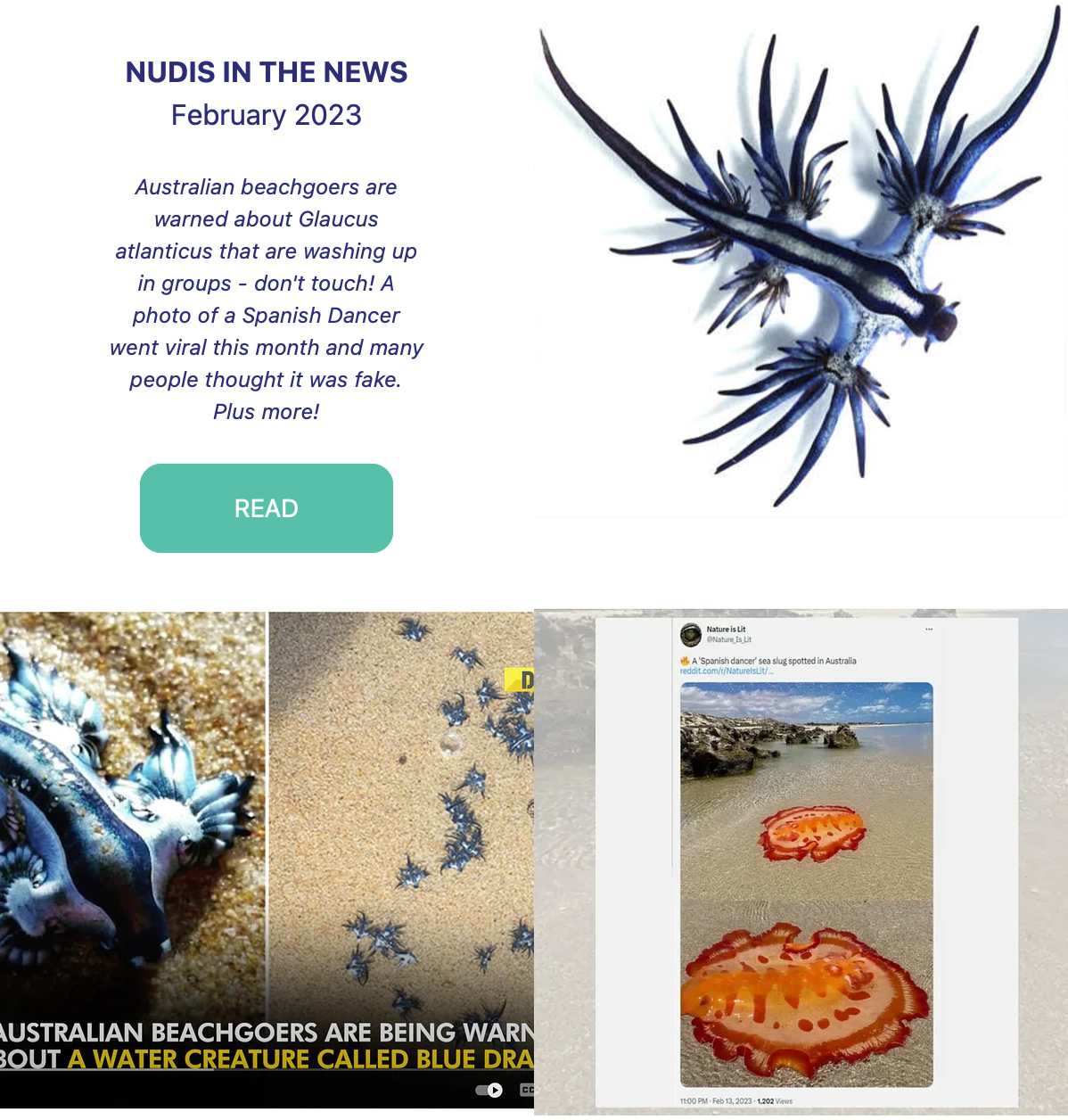 NUDIS IN THE NEWS - February 2023 Blog Post