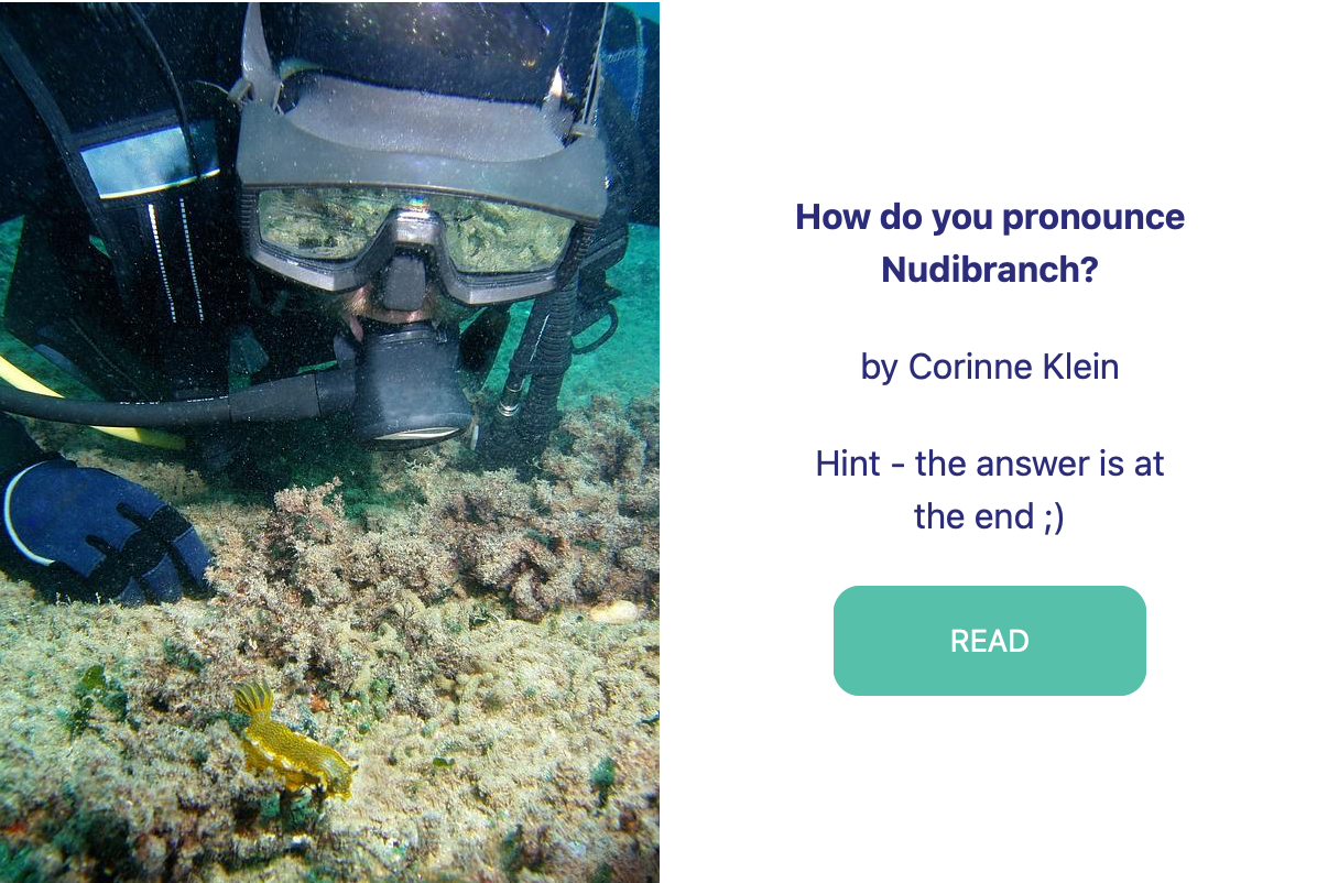 How do you pronounce Nudibranch? Blog Post