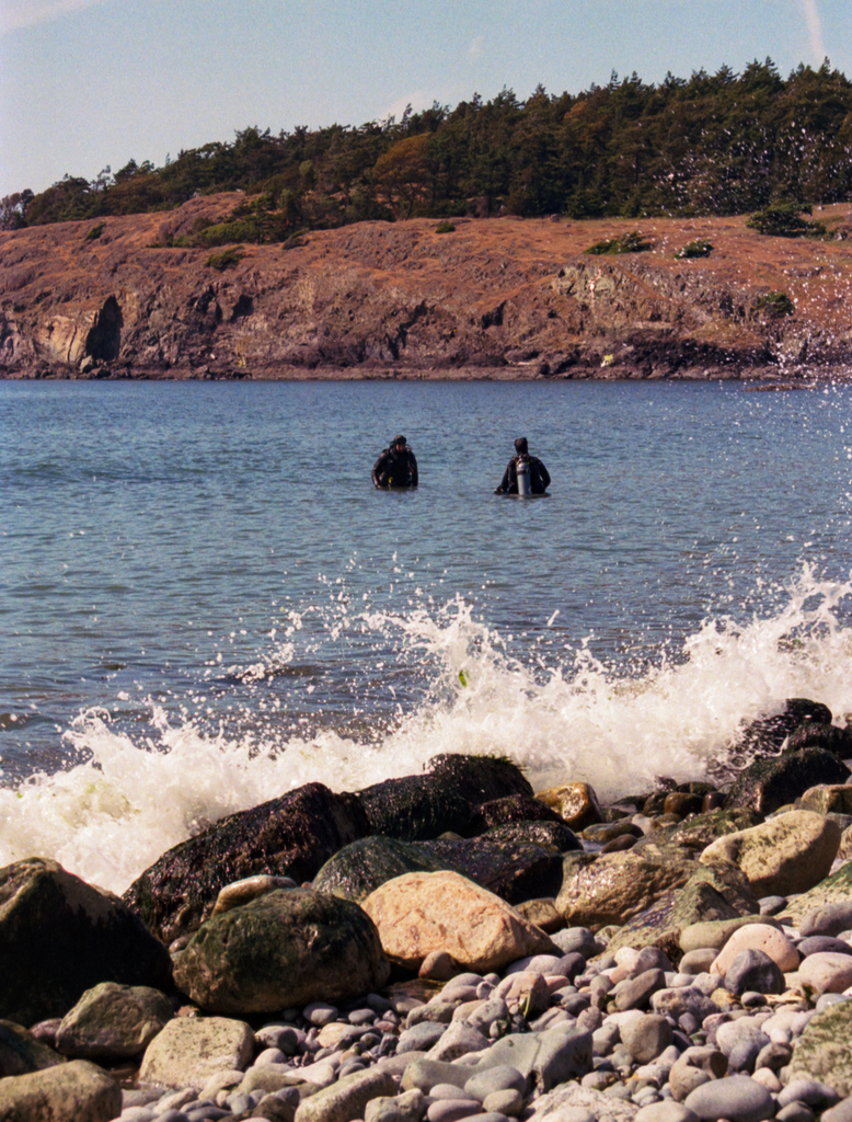 Divers getting in the water on Lopez Island. Shot on film by Hannah Tilley