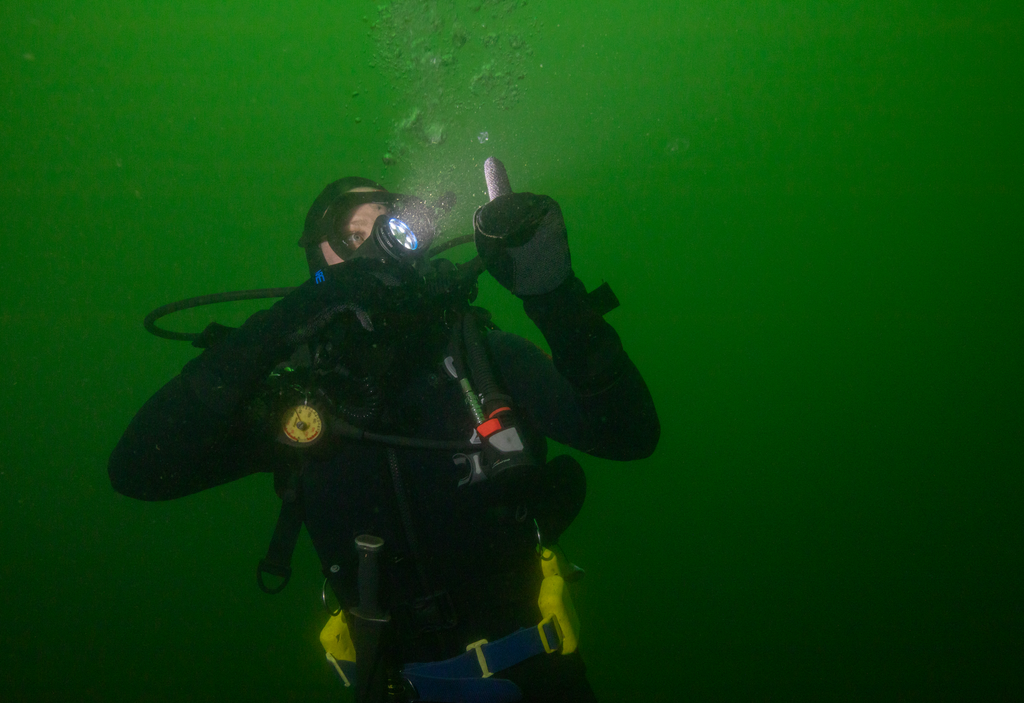 Diver pointing out a tiny jellyfish by Hannah Tilley