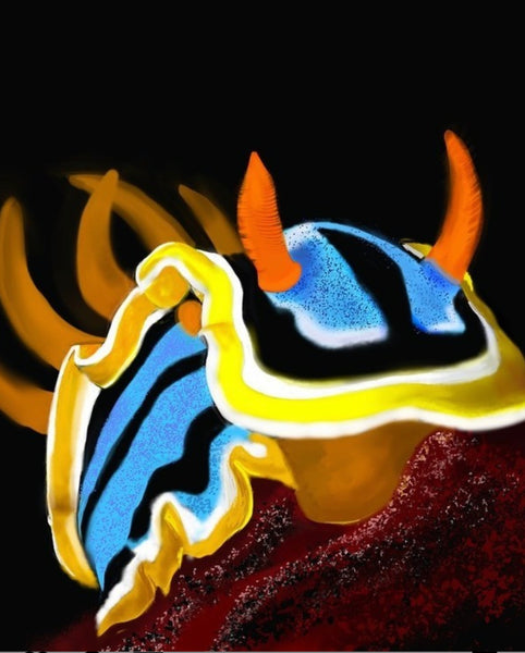 Nudibranch digital paintings by @lady_of_sharks