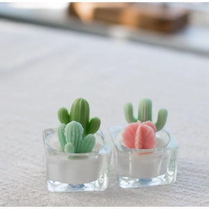 Cactus & Succulent Tealight Candles - Forget Me Not- Plants&Decor - Cactus Tealight Candles