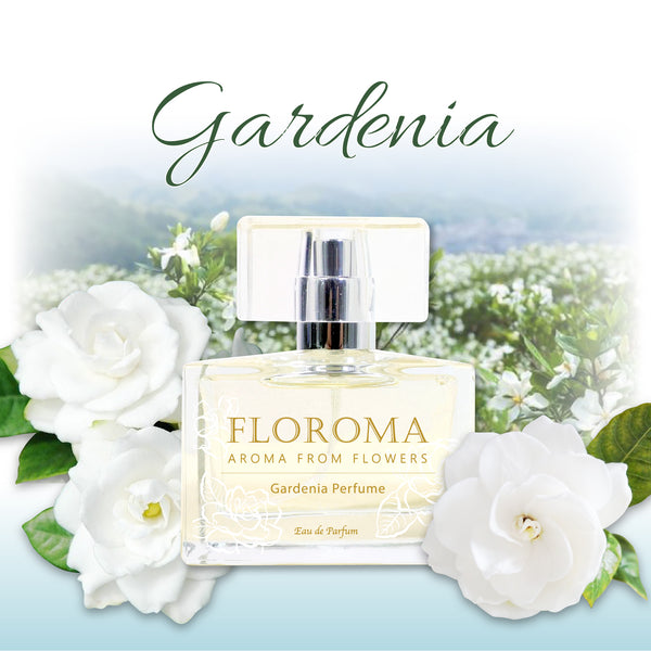 Baby Powdery Perfume – Floroma 花の滴