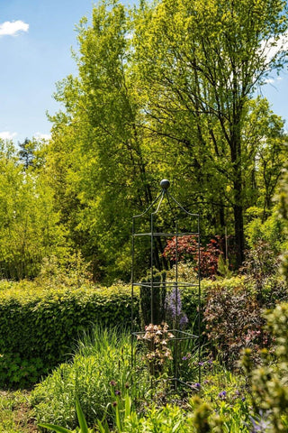 Rankobelisk Catania (groß) in pulverbeschichteter Ausführung im Garten