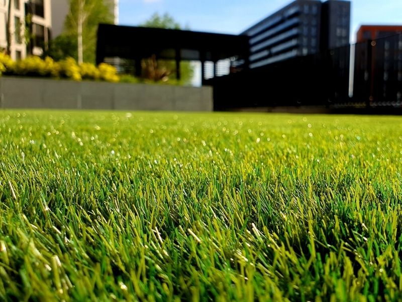 How to choose artificial grass