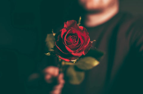 Regala rosas como un gesto de amor. 