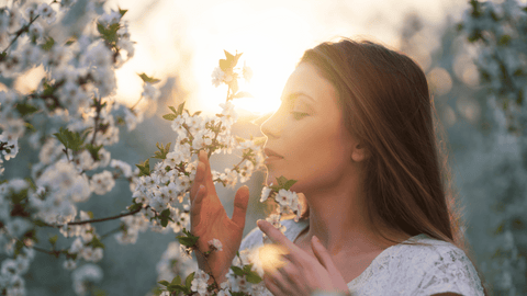 En kvinna med halvlångt brunt hår och vit spetsblus luktar på vita blommande trädgrenar i ett varmt solnedgångsljus.
