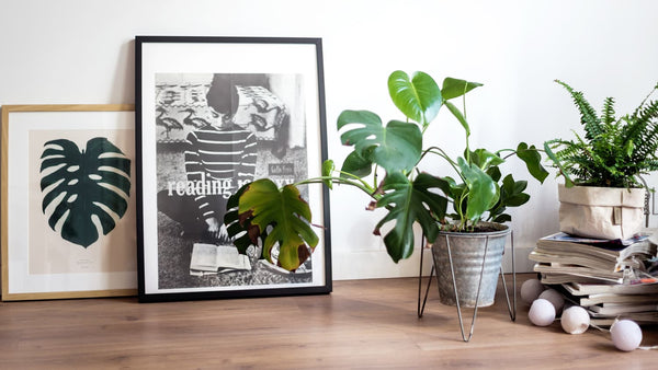 A couple of floor frames displaying pictures beside potted plants on a wooden floor