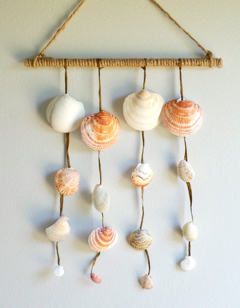 A seashell wall hanging displayed on a wall