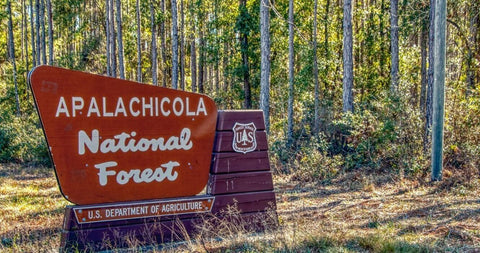 Apalachicola National Forest sign