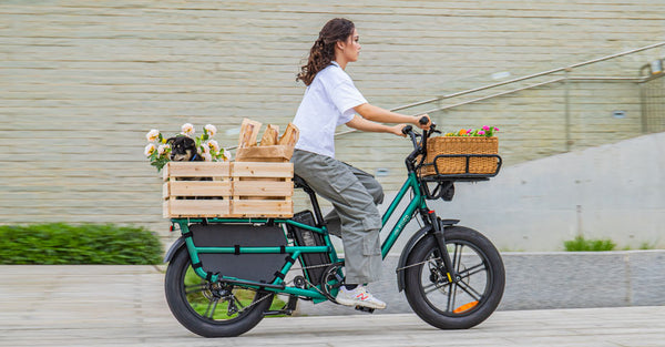 Woman riding electric bike carrying pet dog