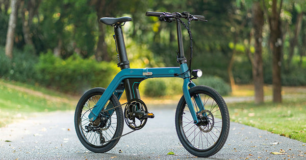 Fiido D11 Folding E-bike