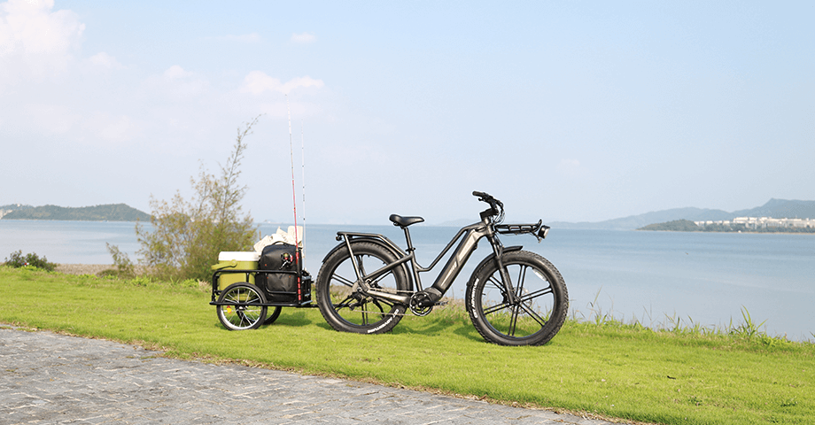 Fiido Titan electric bicycle pulling goods at the lakeside