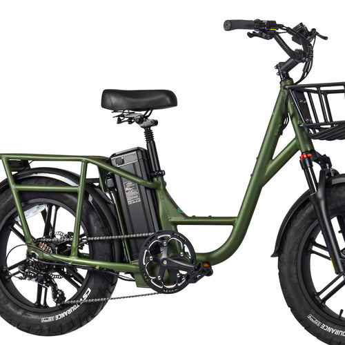 Fiido T1/T1 Pro Utility Electric Bike