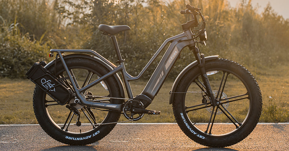 The setting sun shines on the Fiido Titan E-bike