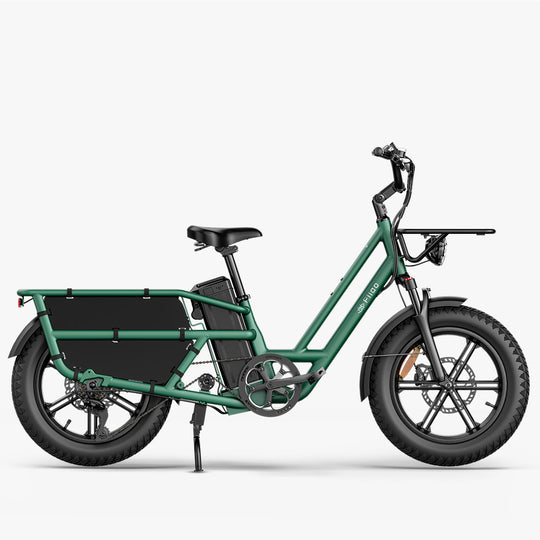 Fiido T2 Longtail Cargo E-bike Image 1