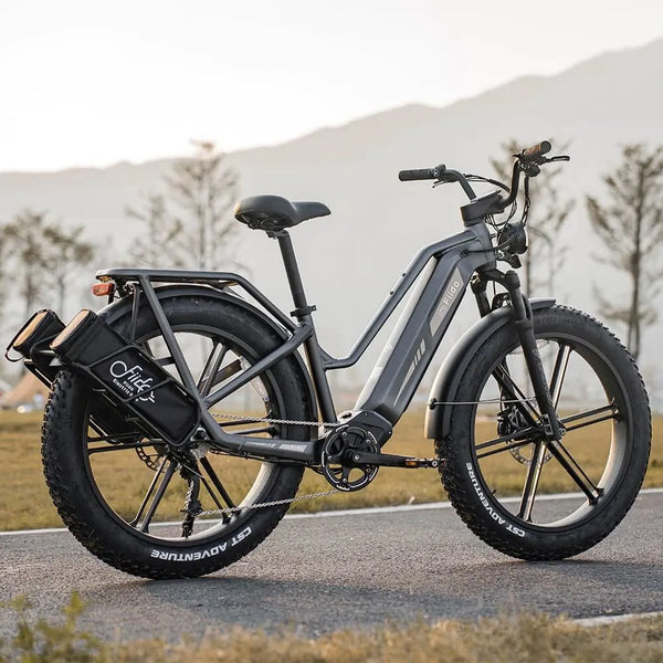 Urban cargo electric bike loaded with goods. Fiido Titan bike features: battery and motor. Commuter on Fiido Titan in the city.
