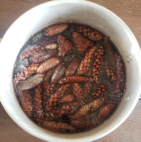 pinecones in a large pot of water